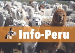 Reiseblog Peru