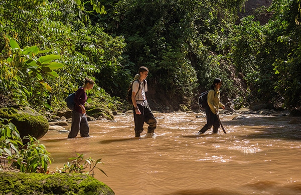 Conservation-Projekt-Amazonas-Regenwald