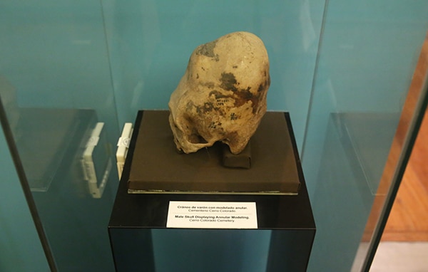 archäologisches_museum_lima_peru_kulturen_paracas_nasca_küste_schädelformation