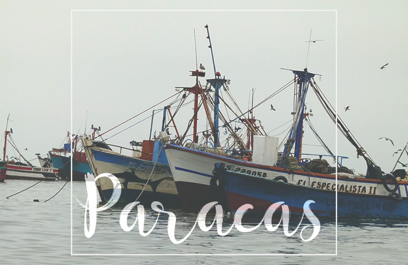 Nationalpark Paracas und seine Islas Ballestas