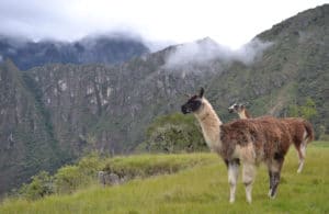 Warum wurde Machu Picchu gebaut?