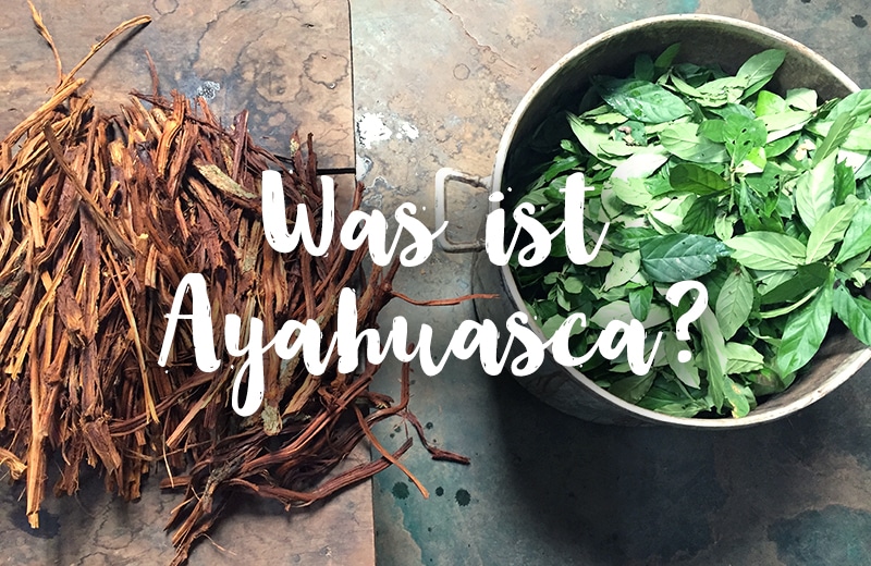 Was ist Ayahuasca? Was du wissen solltest, über die Heilpflanze aus Peru