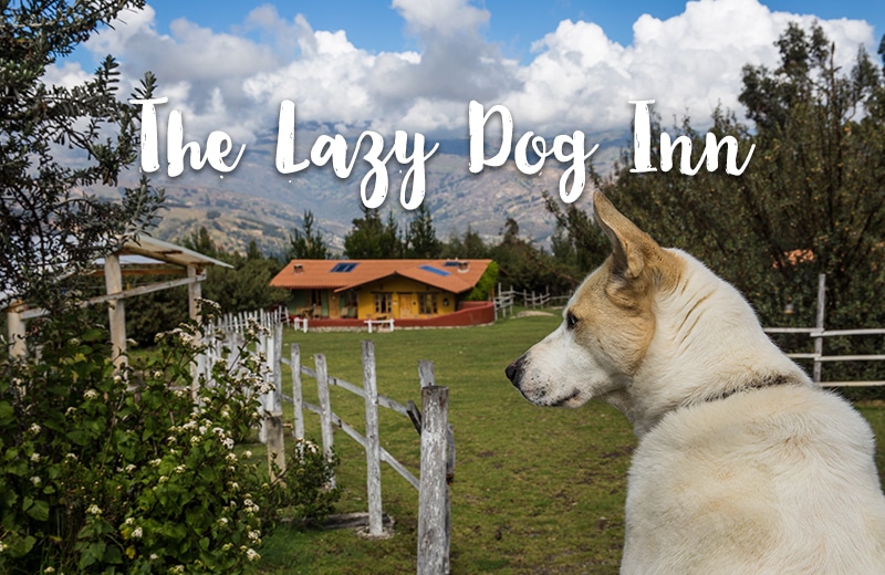 Mein Tipp für Huaraz: Bed & Breakfast “The Lazy Dog Inn”