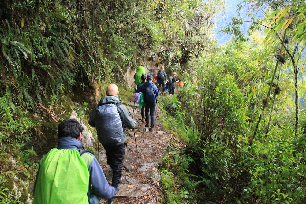 Zu Fuß zum Machu Picchu